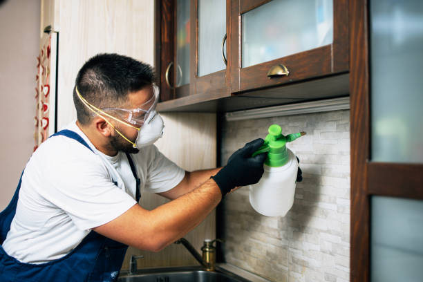Best Cockroach Control Services  in Lame Deer, MT