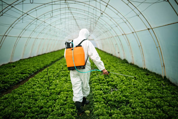 Best Local Pest Control Services  in Lame Deer, MT