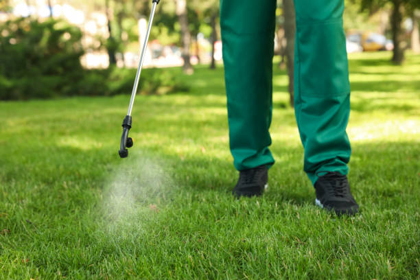 Best Residential Pest Control  in Lame Deer, MT