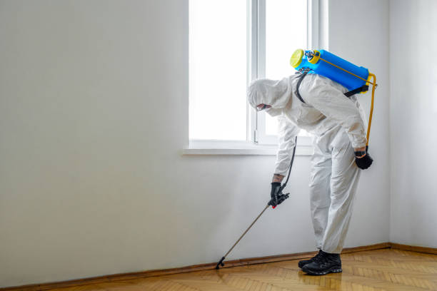 Best Pest Prevention Services  in Lame Deer, MT